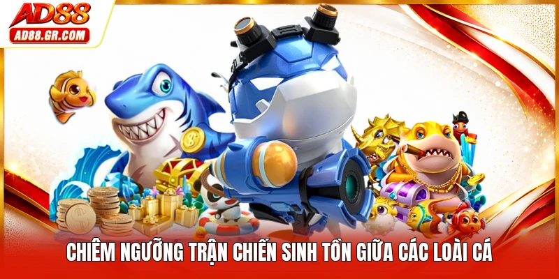 Chiêm ngưỡng trận chiến sinh tồn giữa các loài cá