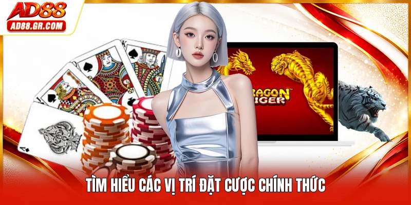 Tìm hiểu các vị trí đặt cược chính thức