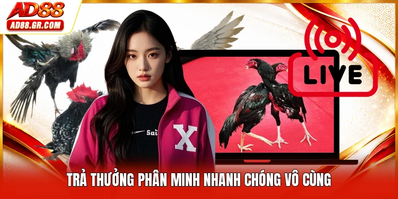 Trả thưởng phân minh nhanh chóng vô cùng